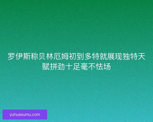罗伊斯称贝林厄姆初到多特就展现独特天赋拼劲十足毫不怯场