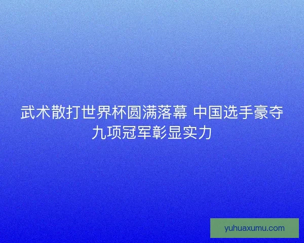 武术散打世界杯圆满落幕 中国选手豪夺九项冠军彰显实力